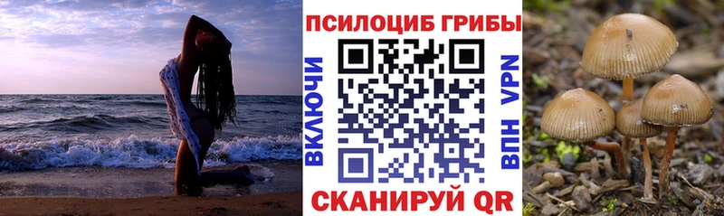 даркнет клад  Калининец  Галлюциногенные грибы Cubensis 